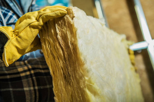 Best Residential Insulation in Oran, MO