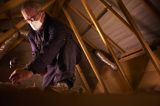 Best Insulation Maintenance and Repair in Oran, MO
